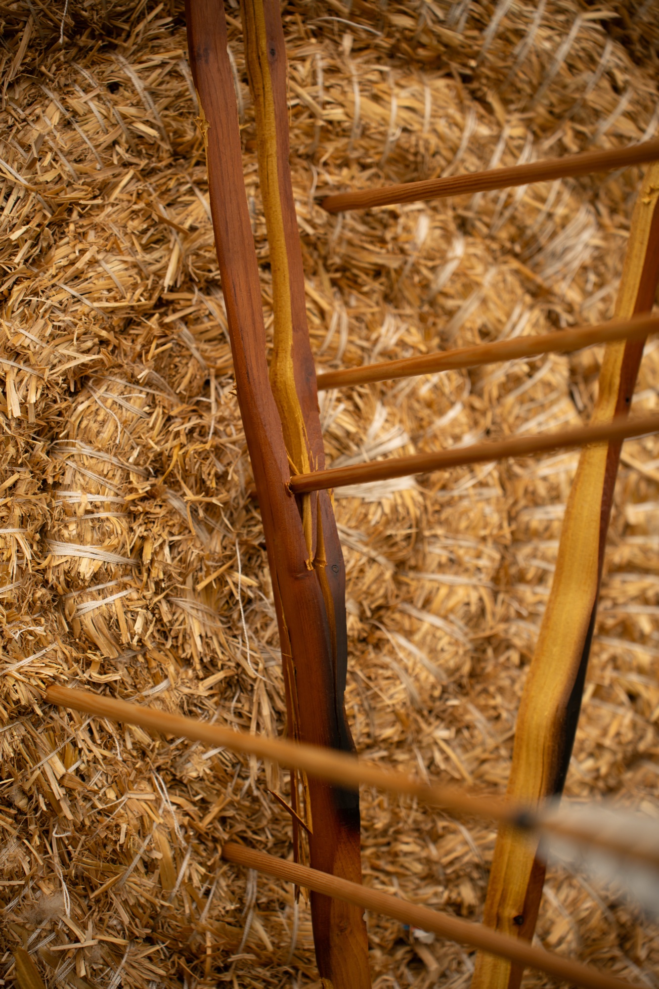 Bogen Detail